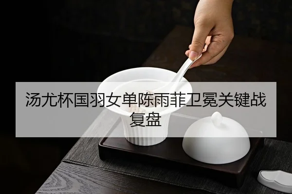 汤尤杯国羽女单陈雨菲卫冕关键战复盘