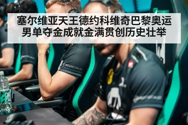 塞尔维亚天王德约科维奇巴黎奥运男单夺金成就金满贯创历史壮举